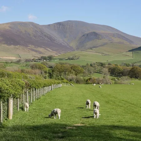 度假居 Scale Force