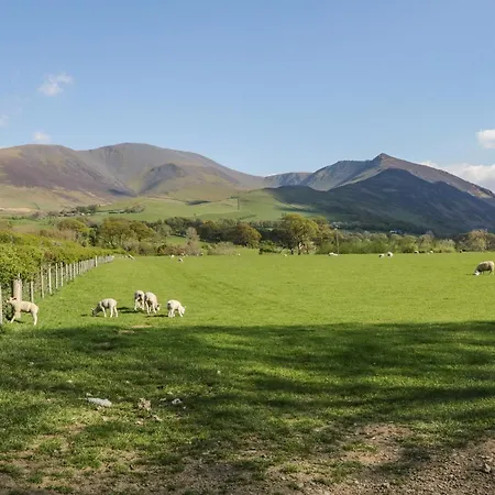 Scale Force 度假居 *