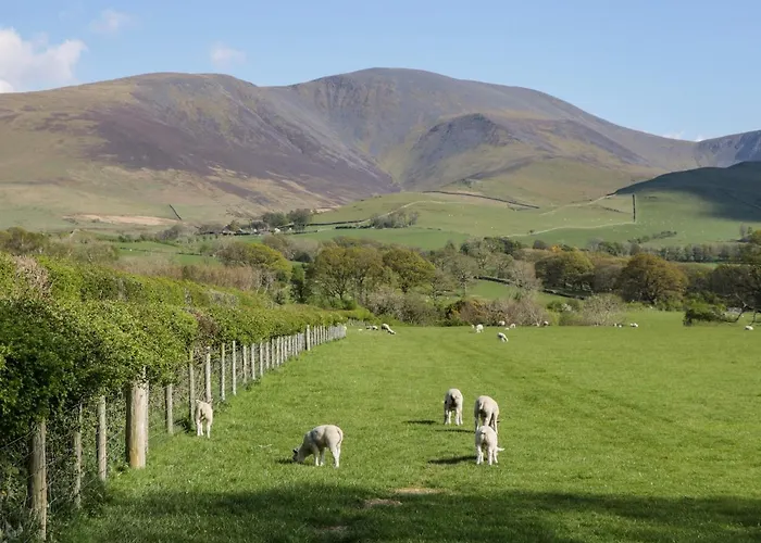 Dom wakacyjny Scale Force