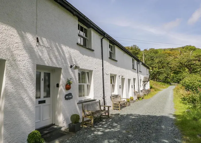 Scale Force Dom wakacyjny