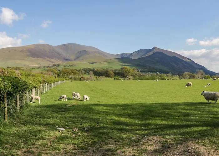 Scale Force Dom wakacyjny *